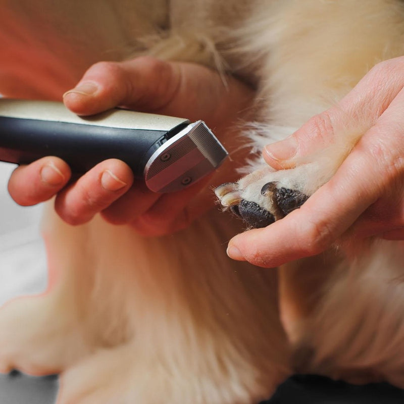 Premium Cordless Pet Clipper